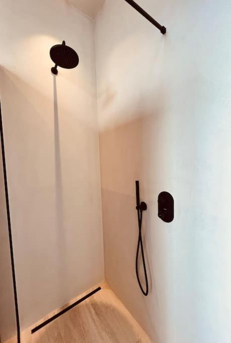 Dakappartement Met Xl Terras Appartement